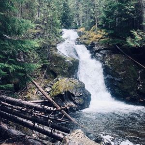 Meet your Posher, Ken